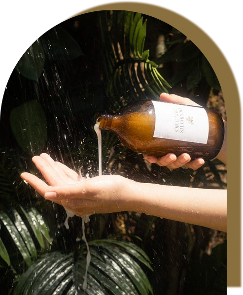Productos de hierbas